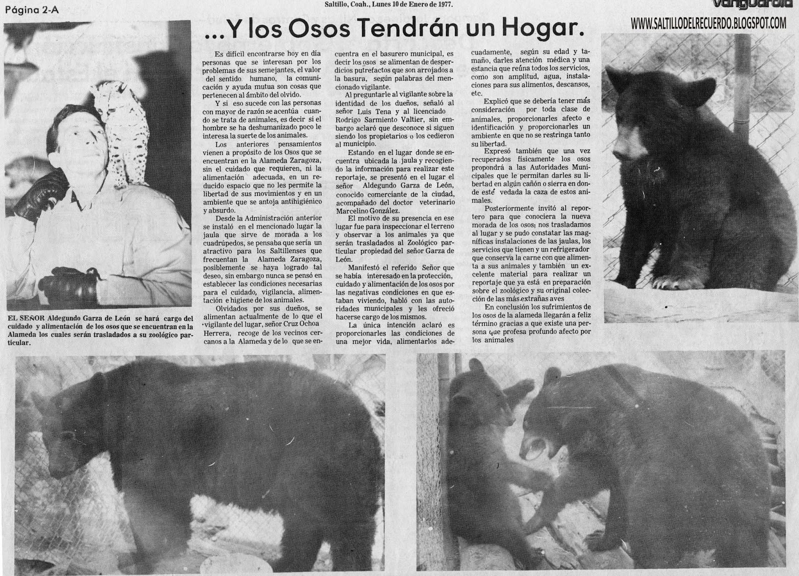 Los Osos de la Alameda Zaragoza de Saltillo 2 Los Osos de la Alameda Zaragoza de Saltillo 2