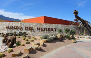 Saltillo para Turistas del Mundial 2026: Guía Completa de Alojamiento, Transporte y Lugares Imperdibles Museo del Desierto de Saltillo — atractivo turístico para visitantes del Mundial FIFA 2026
