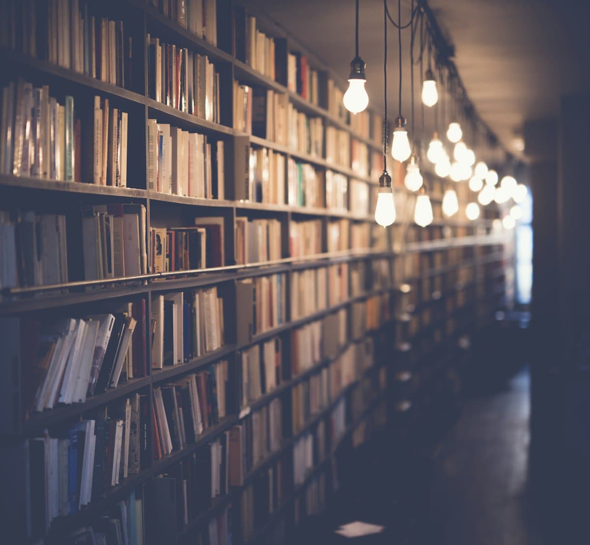 Librerías en Saltillo: guía completa para comprar libros (2026) 1 Libros en estantes de una librería en Saltillo, Coahuila